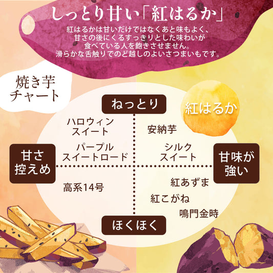 【しっかり食べ比べセット】焼き芋(紅はるか×シルクスイート) 1kg×2箱