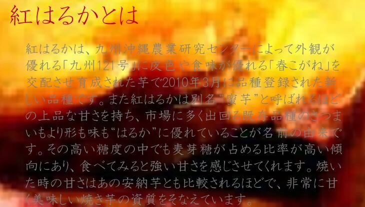 【真空パック】焼き芋(紅はるか)400g