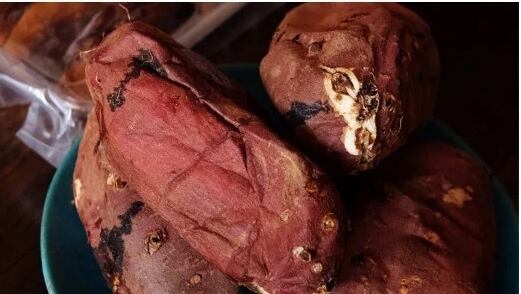 【大入り】冷凍焼き芋(紅はるか)500g×8袋【真空パック】