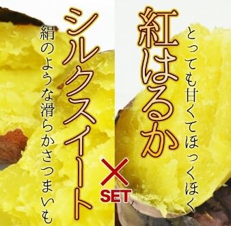 【しっかり食べ比べセット】焼き芋(紅はるか×シルクスイート) 1kg×2箱